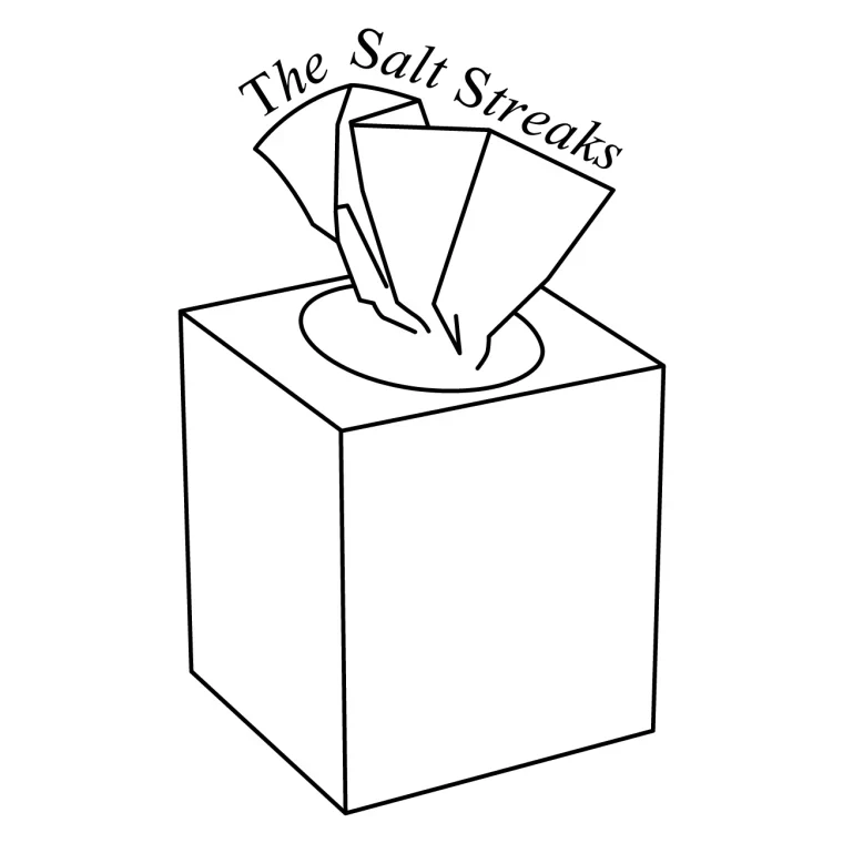 The Salt Streaks - Curiously Posed Animals